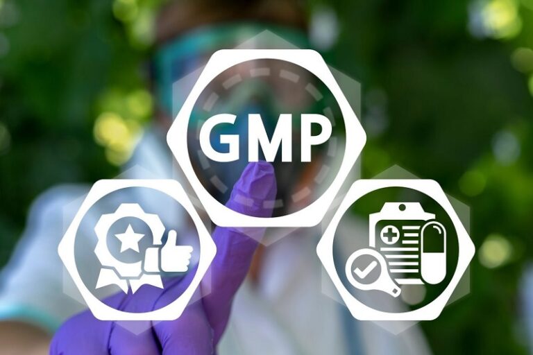 Giấy phép GMP