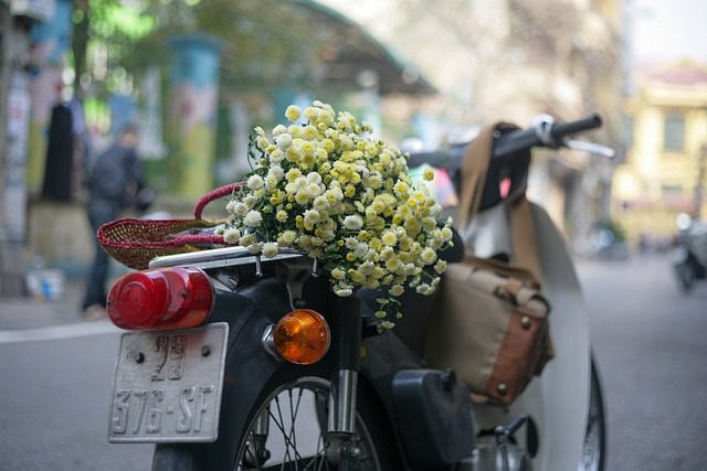 Nghề và Nghiệp 57 Nghề và Nghiệp