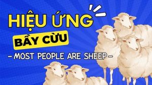 Hiệu ứng bầy đàn