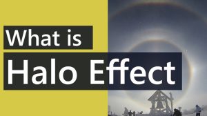 hiệu ứng halo