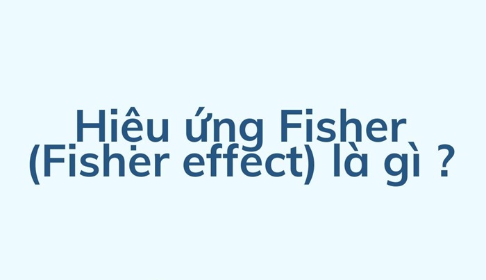 Hiệu ứng Fisher: Khái niệm, cách tính và ứng dụng 12 Hiệu ứng Fisher